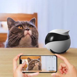 Đôi mắt biết kể chuyện