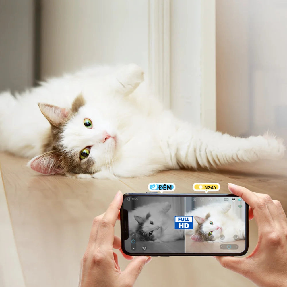 Camera 1080P gọn trong lòng bàn tay