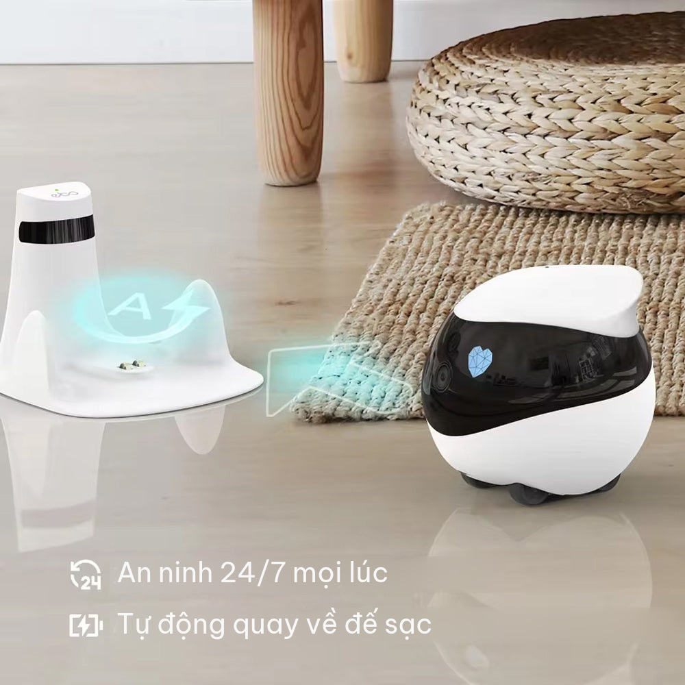 Sạc là tự khớp