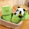 Gấu trúc nhỏ